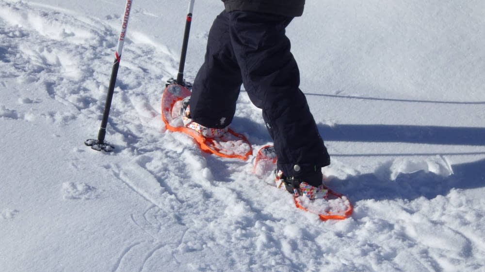Raquetas de nieve